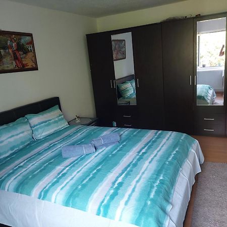 Vila Boba Bor Zlot Kamer foto