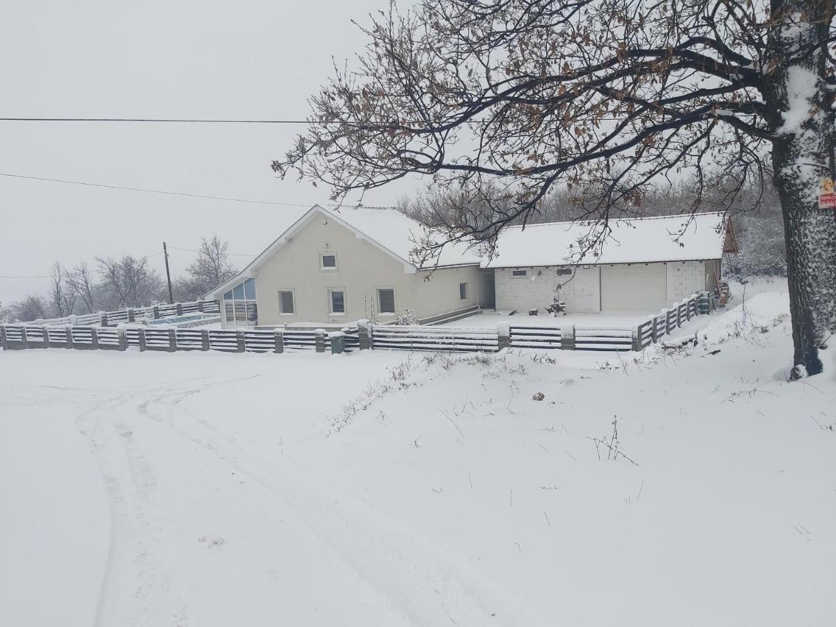 Vila Boba Bor Zlot Buitenkant foto