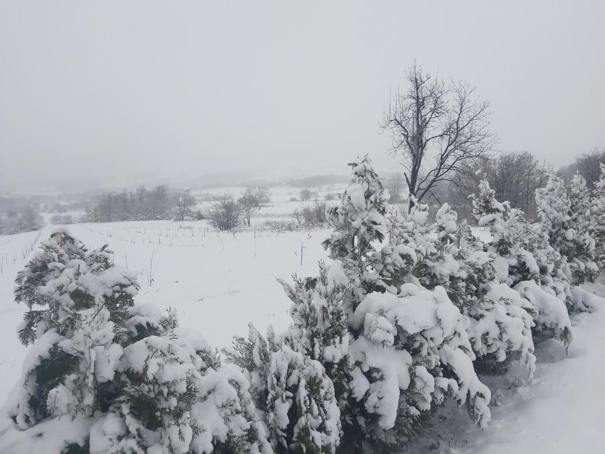 Vila Boba Bor Zlot Buitenkant foto