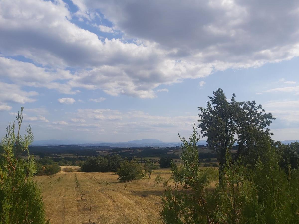 Vila Boba Bor Zlot Buitenkant foto