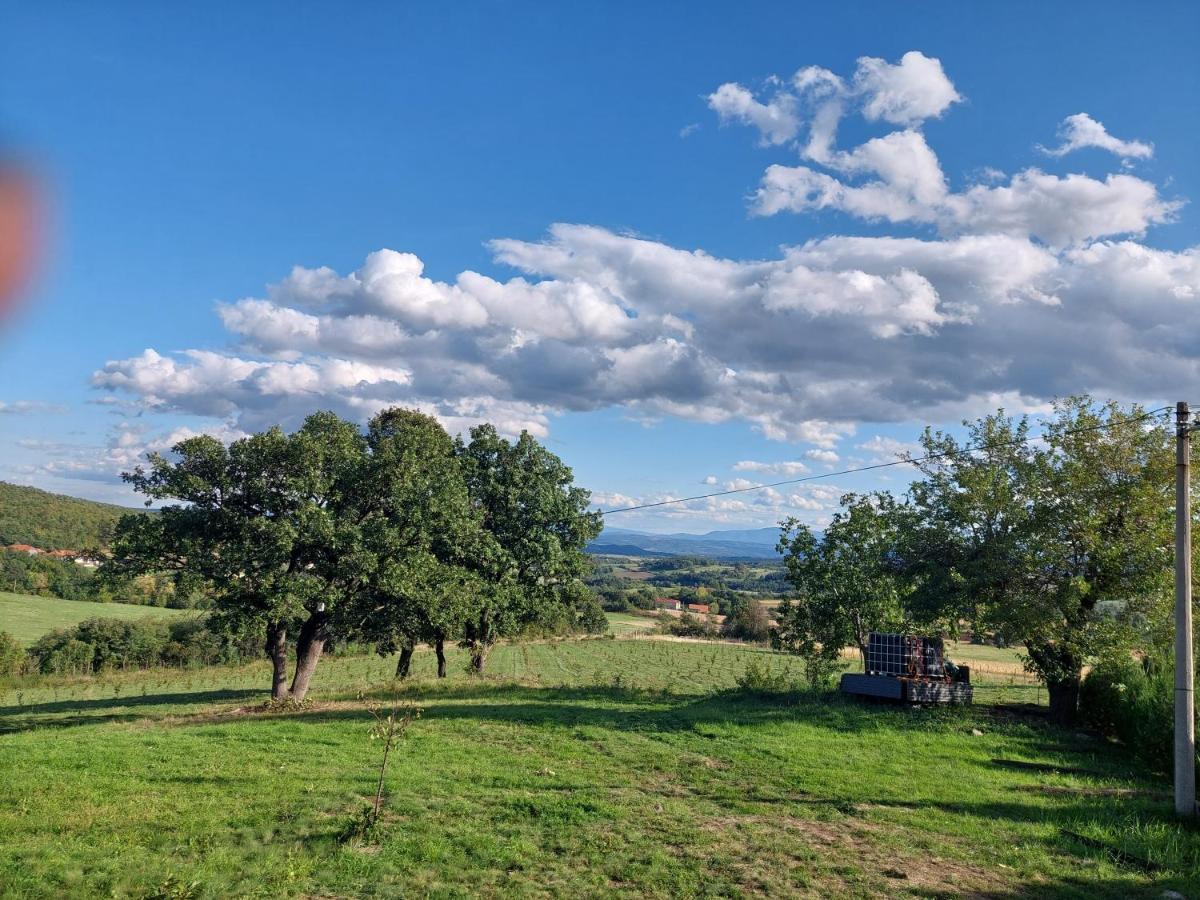 Vila Boba Bor Zlot Buitenkant foto