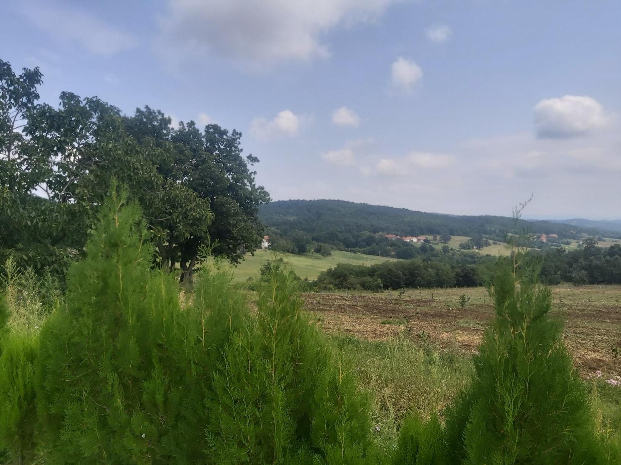 Vila Boba Bor Zlot Kamer foto