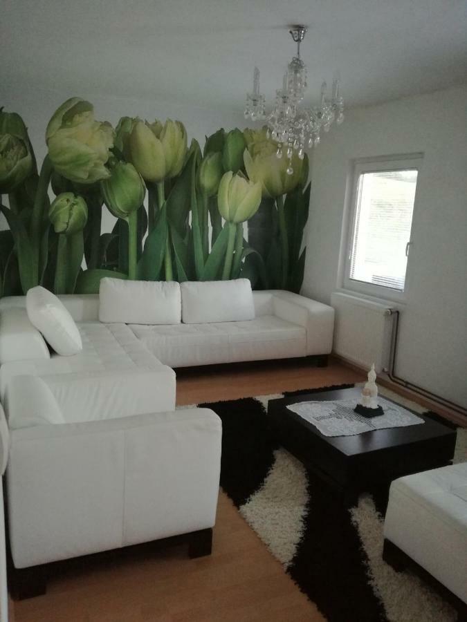 Vila Boba Bor Zlot Buitenkant foto
